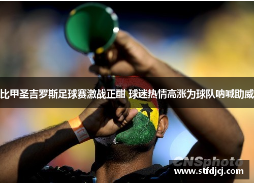 比甲圣吉罗斯足球赛激战正酣 球迷热情高涨为球队呐喊助威